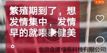 昌黎养殖户 效果反馈集合