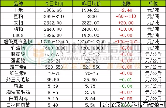 小肽蛋白粉 小肽蛋白粉