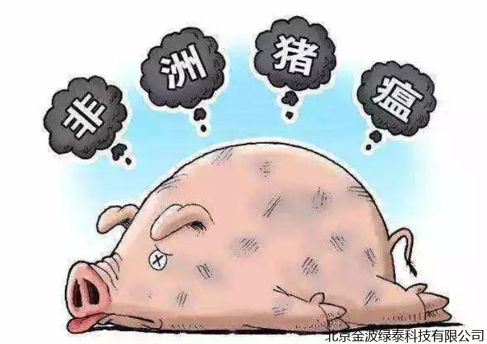 小肽蛋白粉 小肽蛋白粉