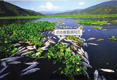 小肽蛋白粉 小肽蛋白粉