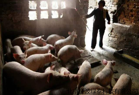 小肽蛋白粉 小肽蛋白粉