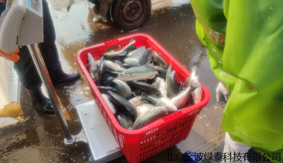 小肽蛋白粉 小肽蛋白粉