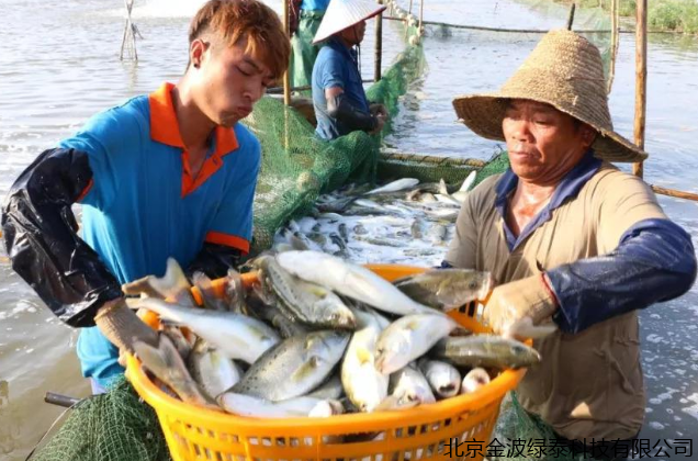 小肽蛋白粉 小肽蛋白粉