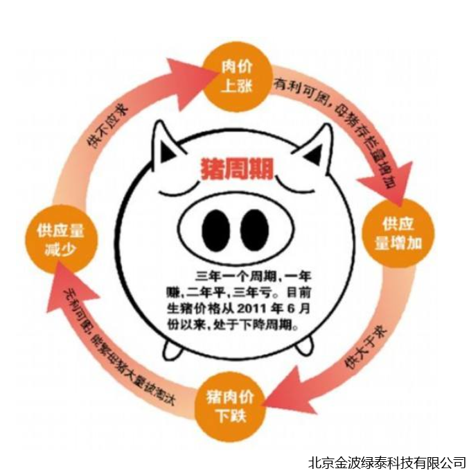 小肽蛋白粉 小肽蛋白粉