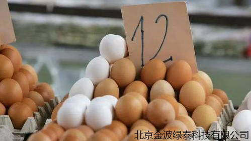 小肽蛋白粉 小肽蛋白粉