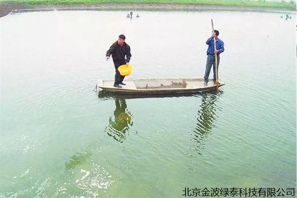 小肽蛋白粉 小肽蛋白粉