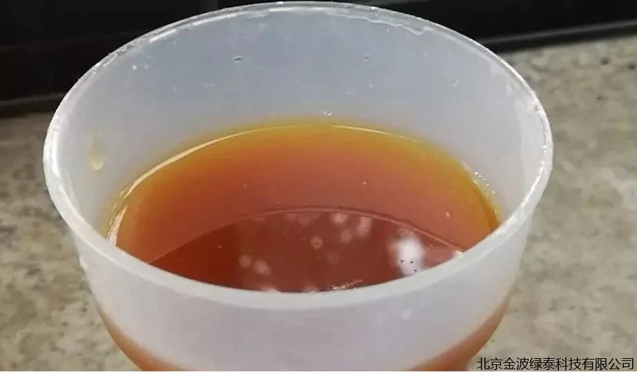 小肽蛋白粉 小肽蛋白粉