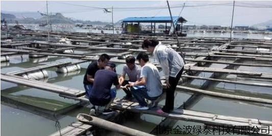 小肽蛋白粉 小肽蛋白粉