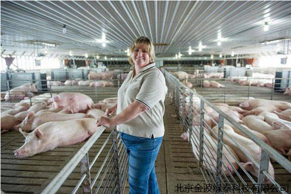 小肽蛋白粉 小肽蛋白粉