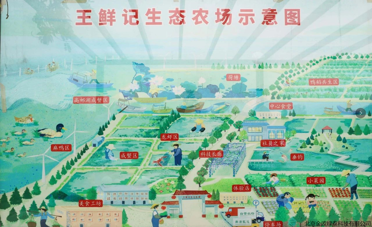 小肽蛋白粉 小肽蛋白粉