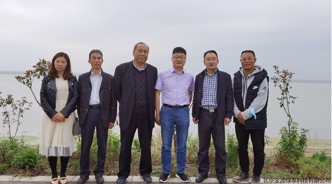 小肽蛋白粉 小肽蛋白粉