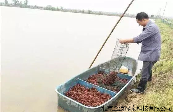 小肽蛋白粉 小肽蛋白粉