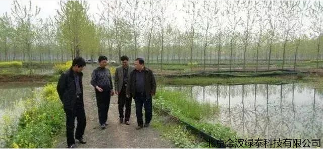 小肽蛋白粉 小肽蛋白粉