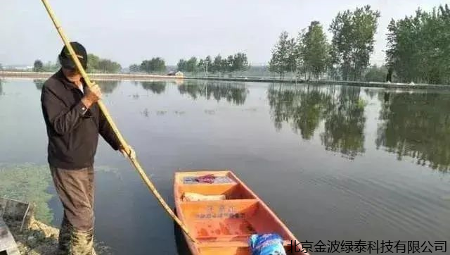 小肽蛋白粉 小肽蛋白粉