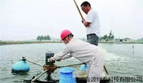 小肽蛋白粉 小肽蛋白粉