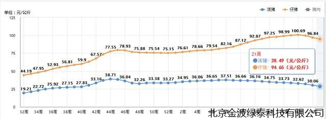 小肽蛋白粉 小肽蛋白粉