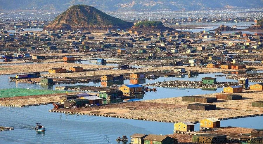 小肽蛋白粉 小肽蛋白粉