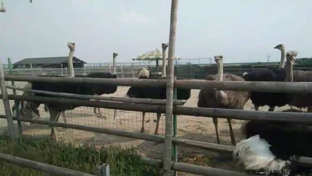 “泰健美”走进台州动物园！