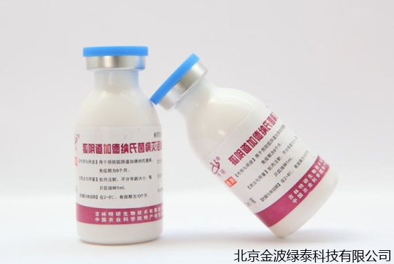 小肽蛋白粉 小肽蛋白粉