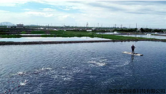 小肽蛋白粉 小肽蛋白粉