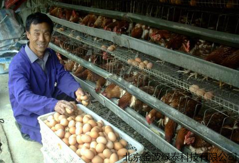 小肽蛋白粉 小肽蛋白粉