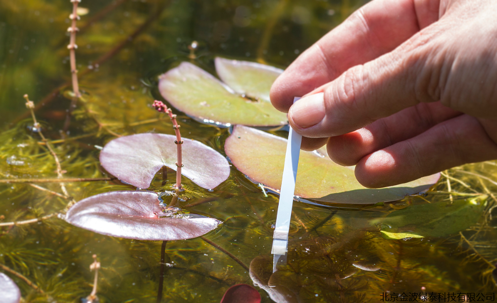 小肽蛋白粉 小肽蛋白粉