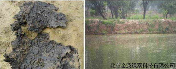 小肽蛋白粉 小肽蛋白粉