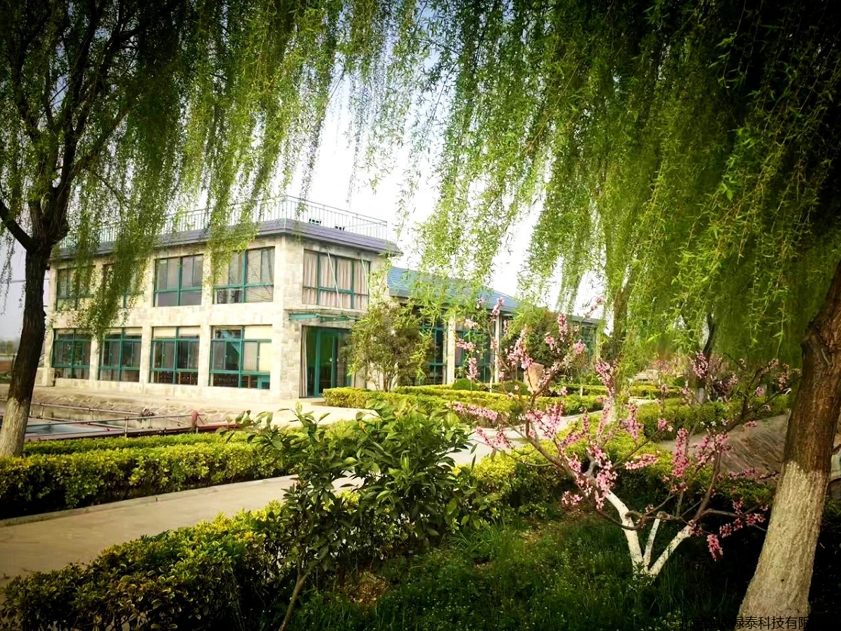 小肽蛋白粉 小肽蛋白粉