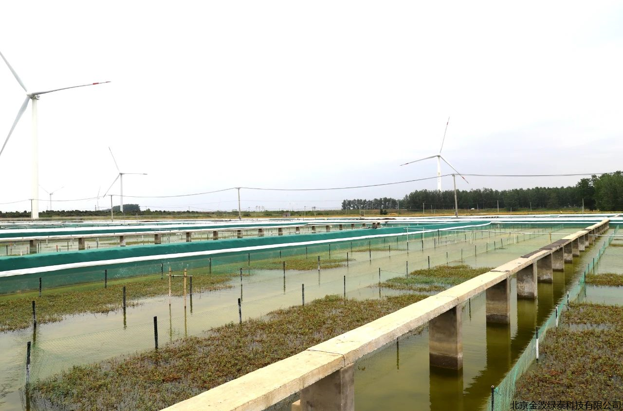 小肽蛋白粉 小肽蛋白粉