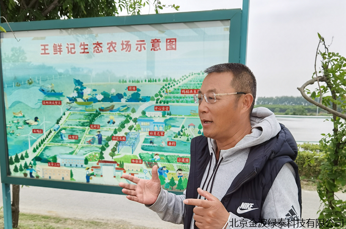 小肽蛋白粉 小肽蛋白粉