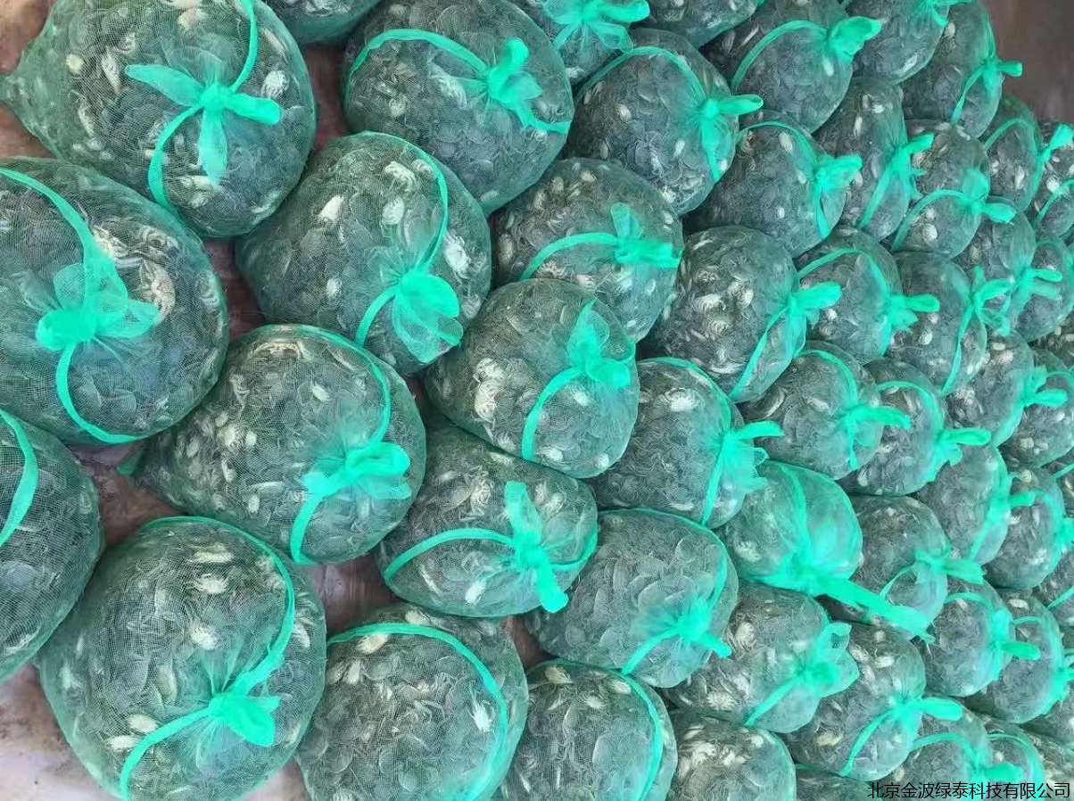 小肽蛋白粉 小肽蛋白粉