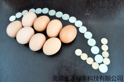 小肽蛋白粉 小肽蛋白粉