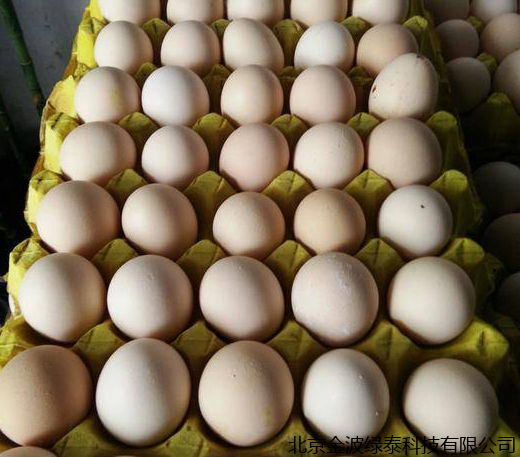 小肽蛋白粉 小肽蛋白粉